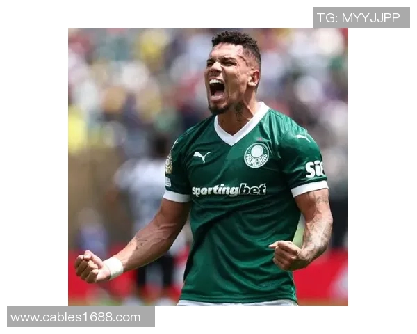 巴西甲精彩对决博塔弗戈与塞阿拉谁能率先破门争夺胜利